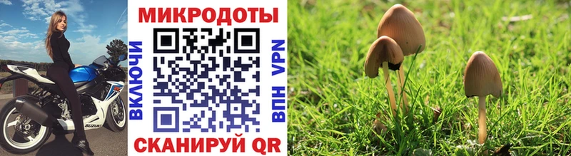Псилоцибиновые грибы Magic Shrooms  блэк спрут ссылка  Козельск 